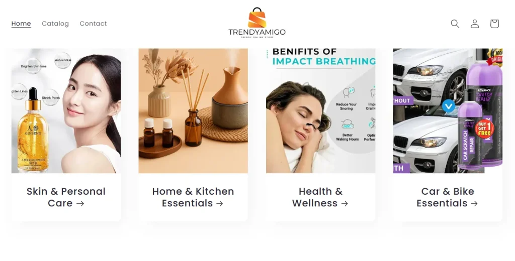 Dropshipping products in India