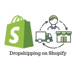 Dropshipping work in 2025