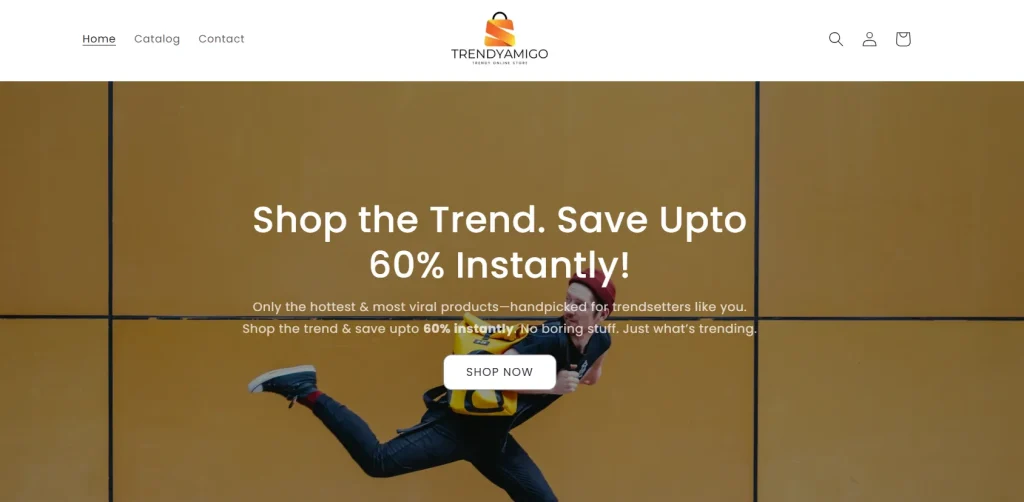 dropshipping in india